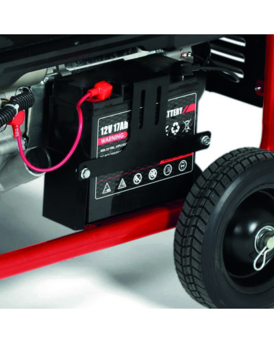 Бензиновий генератор Einhell TC-PG 8000